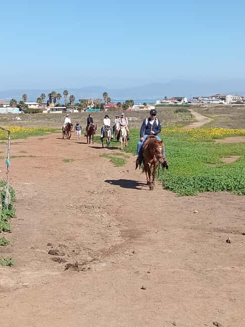 Ensenada: La Bufadora and Playa Hermosa Horseback Riding - Final Thoughts: Is This Tour Right for You?