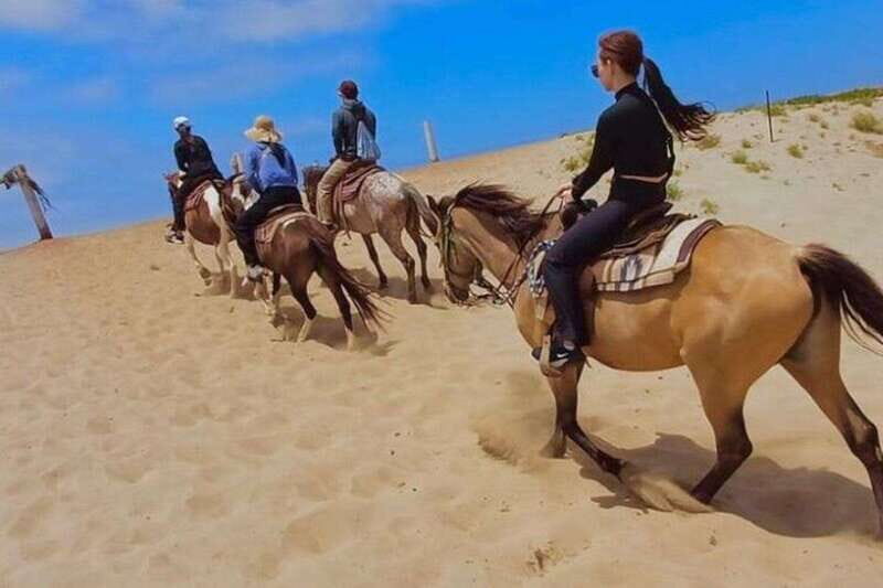 Ensenada: La Bufadora & Beach Horseback Riding Adventure - Final Thoughts: Is It Worth It?