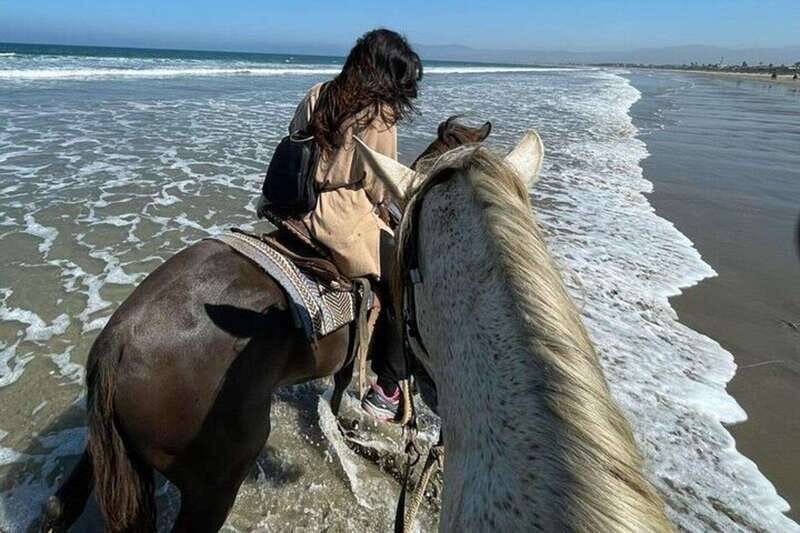 Ensenada: La Bufadora & Beach Horseback Riding Adventure - FAQ