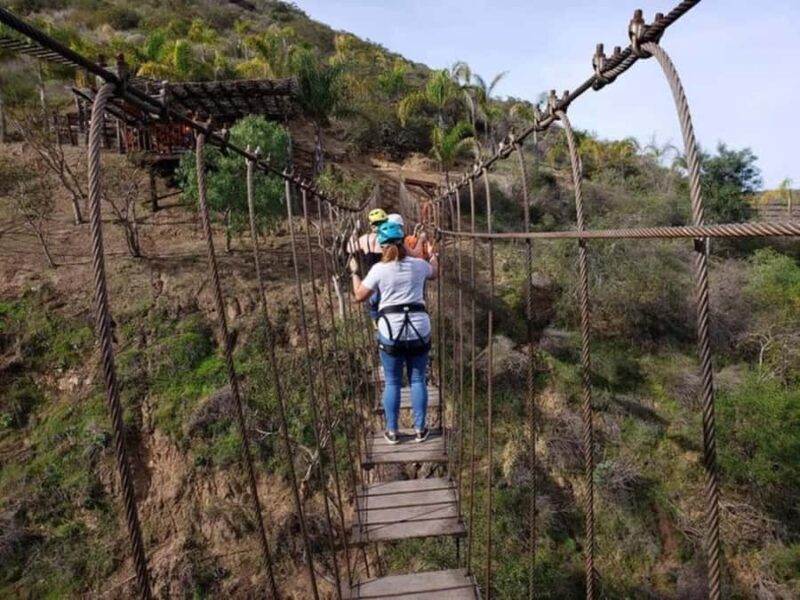 Ensenada: Las Cañadas Zipline and Suspension Bridge Tour - Who Would Love This Experience?
