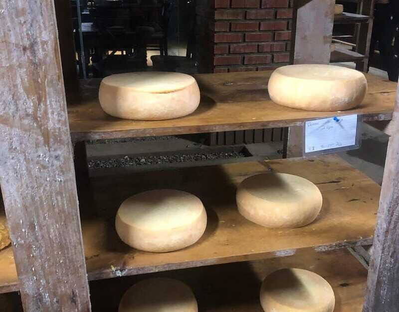 Ensenada: Ojos Negros Valley Cheese and Wine Tasting Tour - FAQ