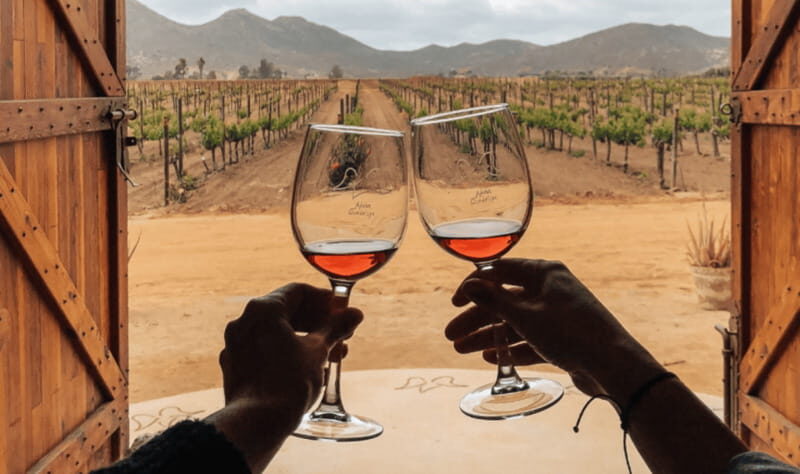 Ensenada: Valle de Guadalupe Wine Tasting Tour - Key Points