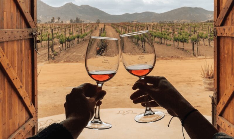 Ensenada: Valle de Guadalupe Wine Tasting Tour - An In-Depth Look at the Tour Experience