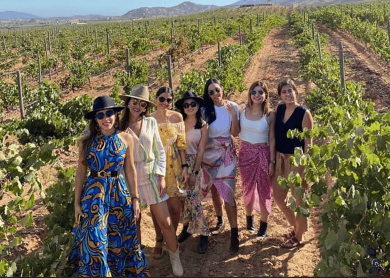 Ensenada: Valle de Guadalupe Wine Tasting Tour - Final Thoughts