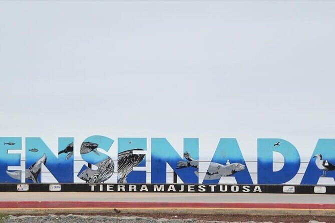 Ensenada Zipline and Blowhole Tour - FAQs