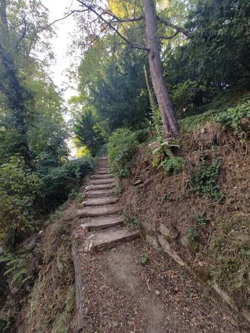 Enter the painting, touch the roots and go back in time ! - Key Points