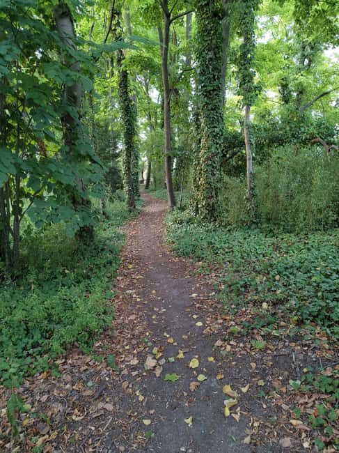 Enter the painting, touch the roots and go back in time ! - Who Will Love This Experience?