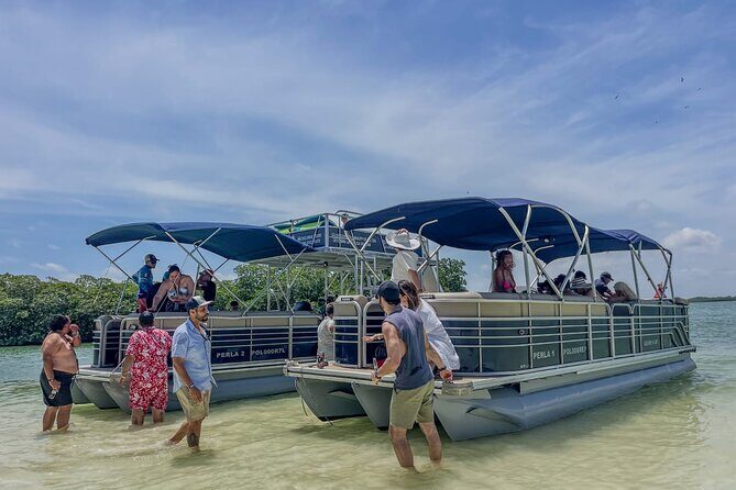 Entertainments and Celebrations in Cancun and Isla Mujeres - Practical Tips for Booking and Enjoyment