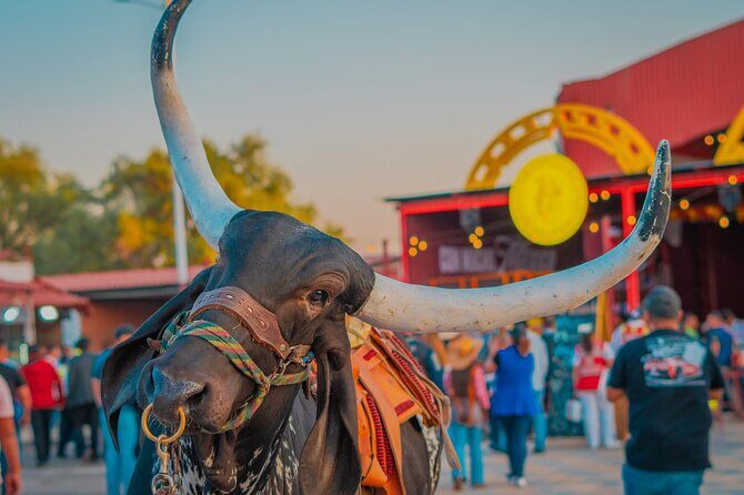 Entrance and transfer to the Texcoco International Horse Fair26 - An In-Depth Look at the Tour Experience