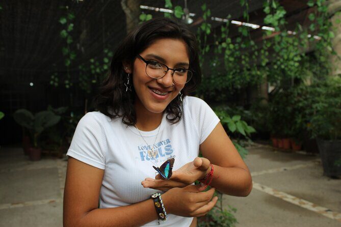 Entrance to the Morpho Butterfly and Liquor Tasting - Key Points