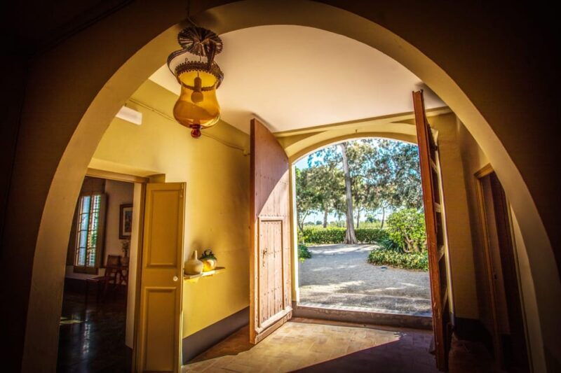 Entry ticket | Fundació Mas Miró - Mont-roig del Camp - A Closer Look at What to Expect at Fundació Mas Miró