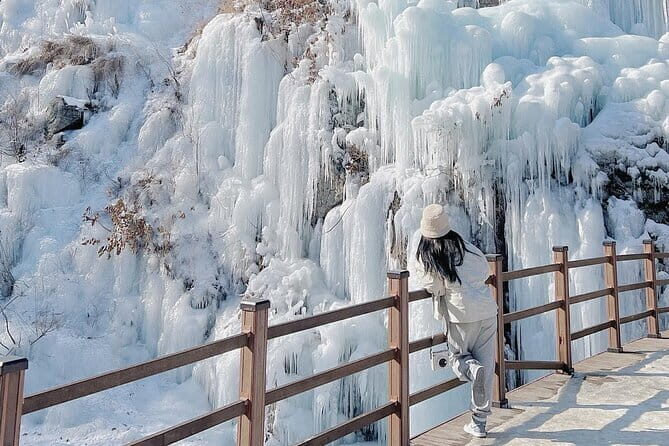 Eobi Ice Valley Nami Island and Alpaca World Tour from Seoul - Who Is This Tour Best For?