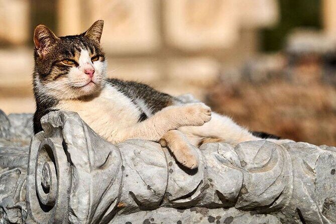 Ephesus and Virgin Mary House Private Tour with Lunch and Pickup - FAQs