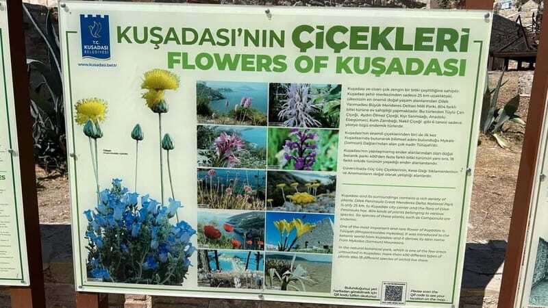 Ephesus tours wholesalerShopTours from cruise port Kusadasi - Final Thoughts