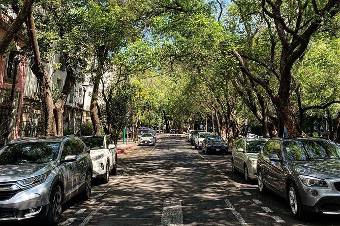 Epic Condesa and Roma Norte Walking Tour - The Sum Up