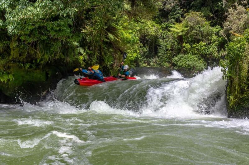 Epic Tandem Kayak Tour down the Kaituna River Waterfalls - Key Points
