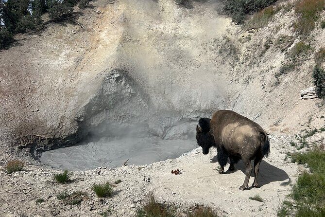 Epic Yellowstone Private Tour - Who Is This Tour Best For?