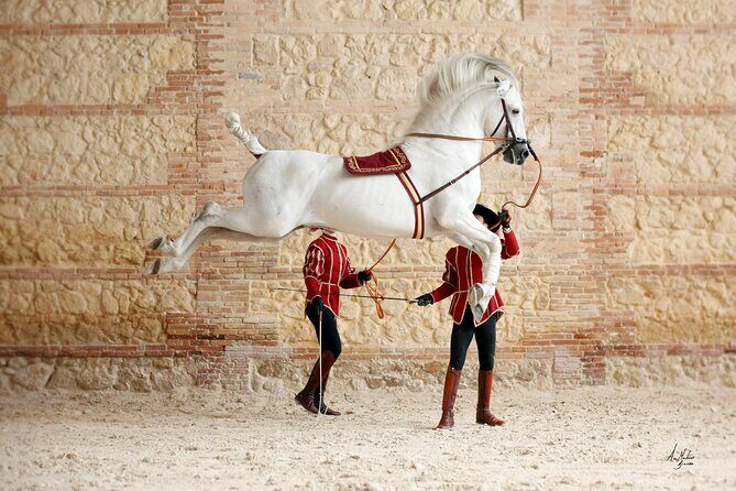 Equestrian Show Royal Stables of Córdoba - An In-Depth Look at the Córdoba Equestrian Show