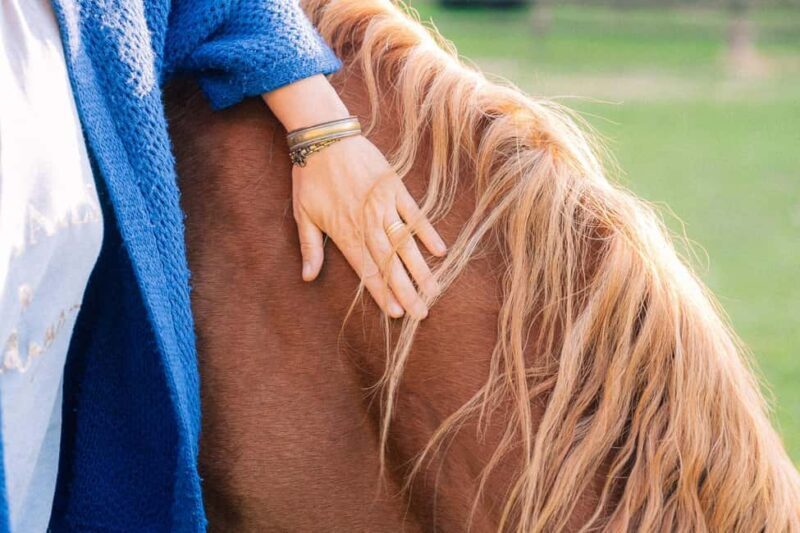 Equicoaching - experience the connection with horses in Normandy - An In-Depth Look at the Equicoaching Experience in Normandy