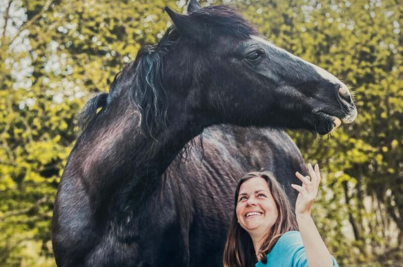 Equicoaching - experience the connection with horses in Normandy - Final Thoughts