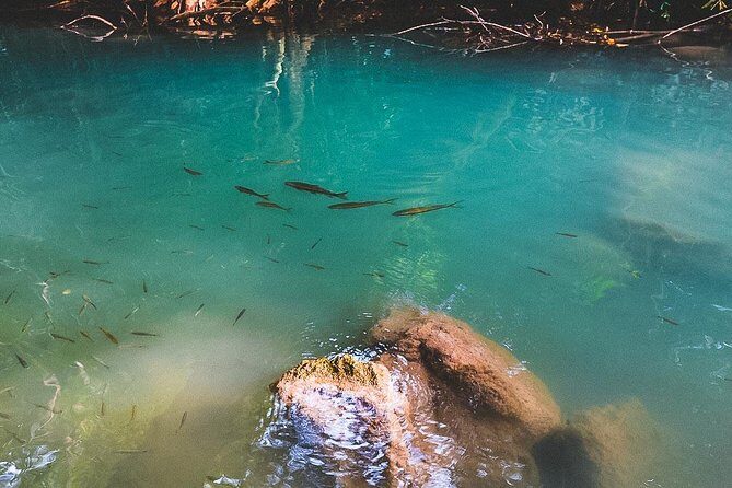 Erawan Waterfall and Elephant Care: Private Tour to Kanchanabur - What to Expect During Your Day