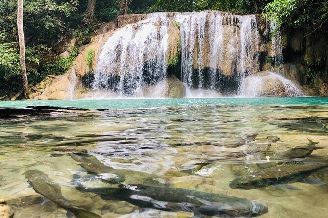 Erawan Waterfall and River Kwai Bridge Day Tour from Bangkok - The Itinerary: What Youll See and Do