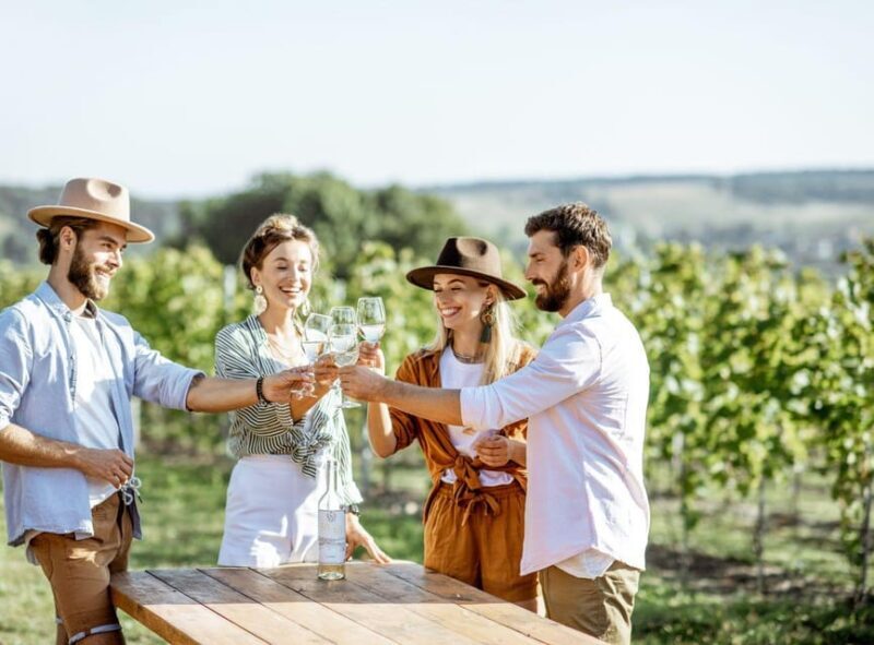 Ercolano vineyards, view cellar wine tasting and brunch - Practical Tips for Travelers