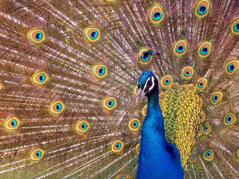 Erfurt: Erfurt Zoo Entry Ticket - A Closer Look at the Erfurt Zoo Experience