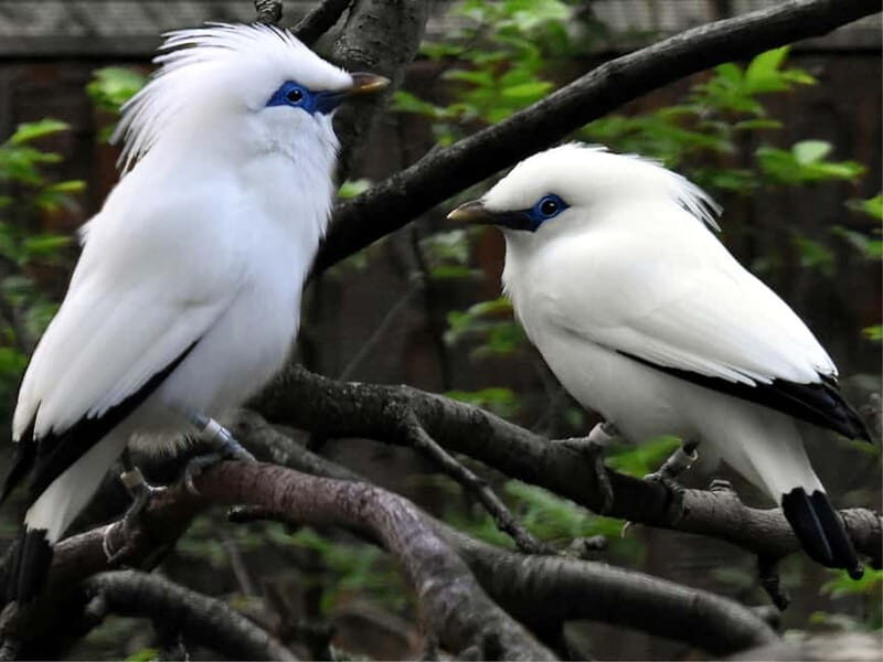 Erfurt: Erfurt Zoo Entry Ticket - Final Thoughts: Who Should Consider Visiting Erfurt Zoo?