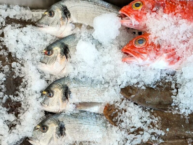 Ericeira Private Tour: 10 Tastings Food Tour - Final Thoughts