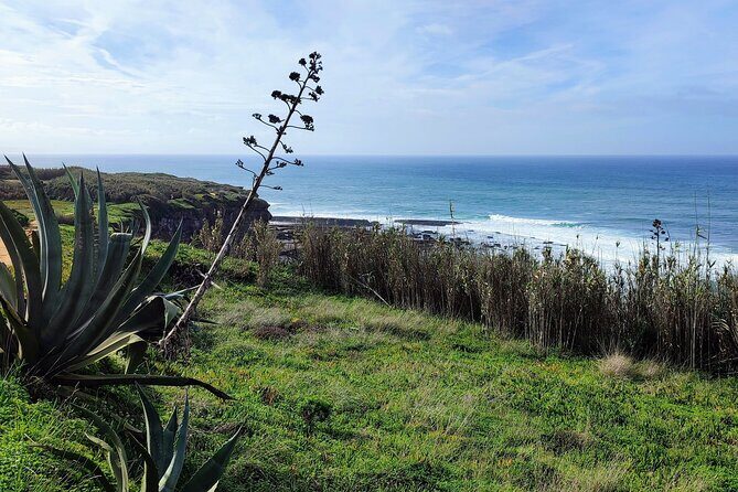 Ericeira Private Tour: 10 Tastings Food Tour - Final Thoughts