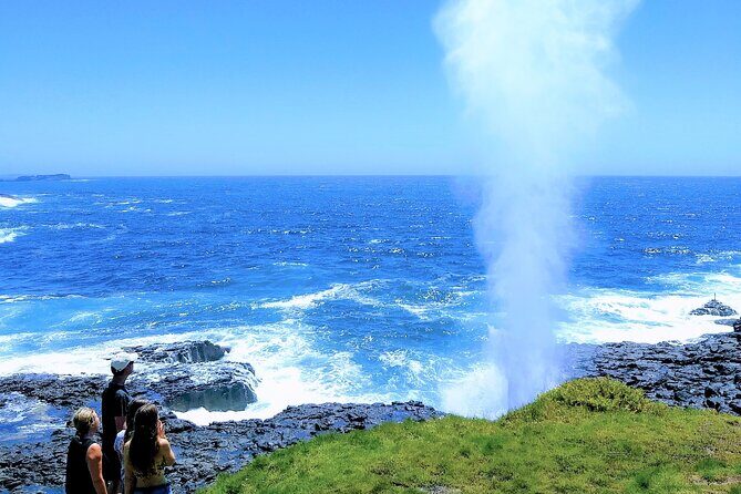 Erupting Blowholes and Ancient Rainforests SOUTH COAST OF SYDNEY PRIVATE TOUR - An In-Depth Look at the Tour