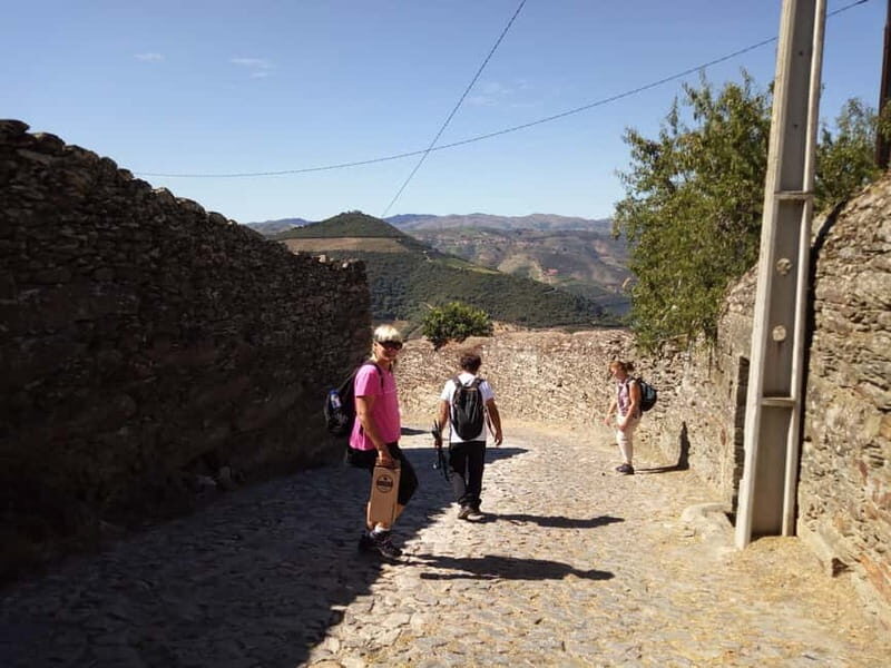 Ervedosa do Douro: Guided Walking Tour with Picnic Lunch - A Deep Dive into the Tour Experience