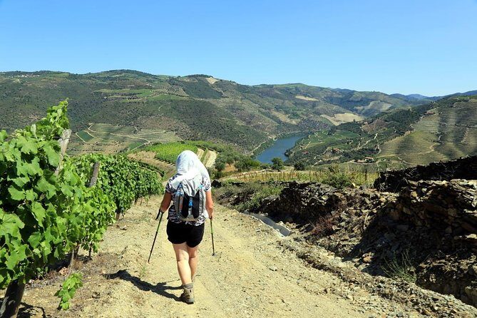 Ervedosa do Douro Walking Tour - A Deep Dive into the Ervedosa do Douro Walking Tour