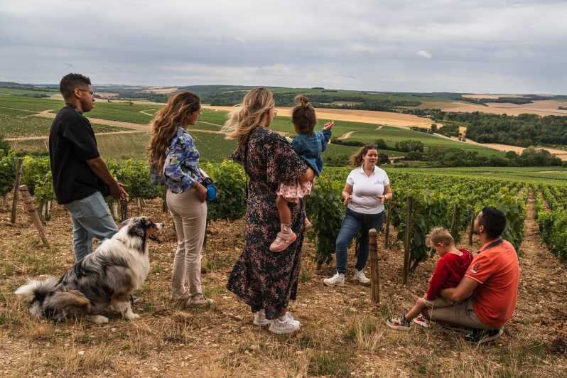 Escapade and tasting in the Chablis vineyards - Analyzing the Experience: What to Expect from the Tour