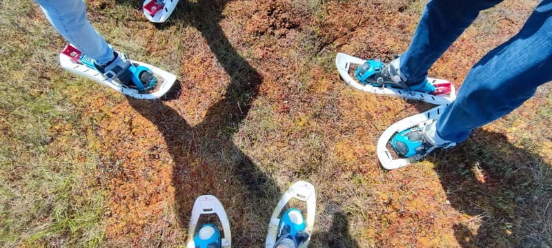 Escape from Tallinn  Hike, Swim, Forage & Cuddle Sled Dogs - A Detailed Look at the Experience