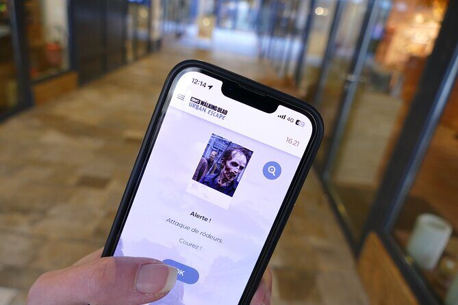 Escape Game Outdoor The Walking Dead in Rouen - What to Expect from the Walking Dead Outdoor Escape Game