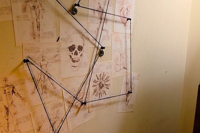 Escape Room Experience Taupo - The Cursed Cabin - Key Points