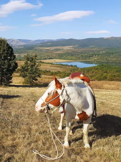 Escape Sofia: horse ride through Bulgaria´s beauty - Exploring the Details of the Tour