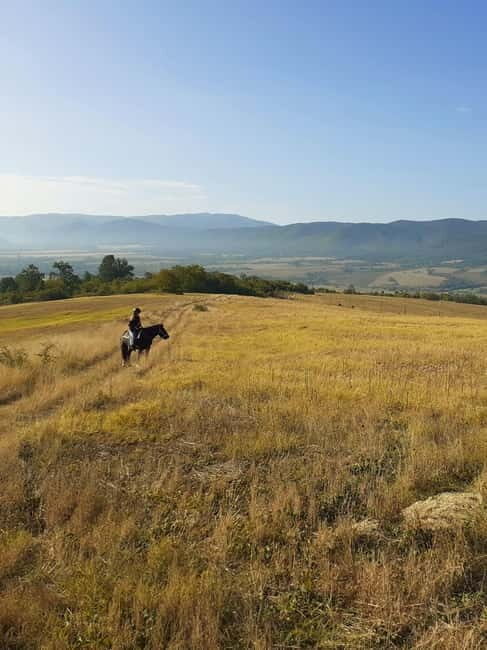 Escape Sofia: horse ride through Bulgaria´s beauty - The Base and Meet the Horses