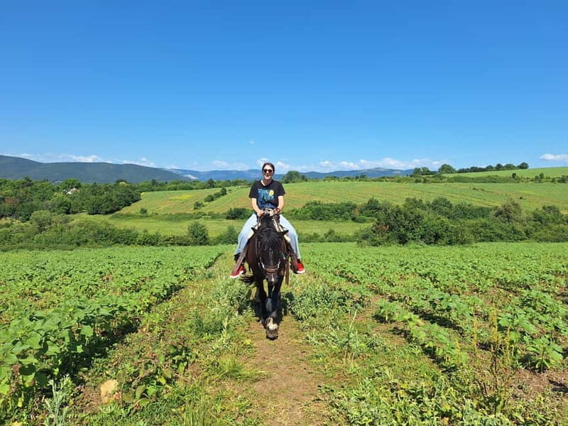Escape Sofia: horse ride through Bulgaria´s beauty - The Riding Experience