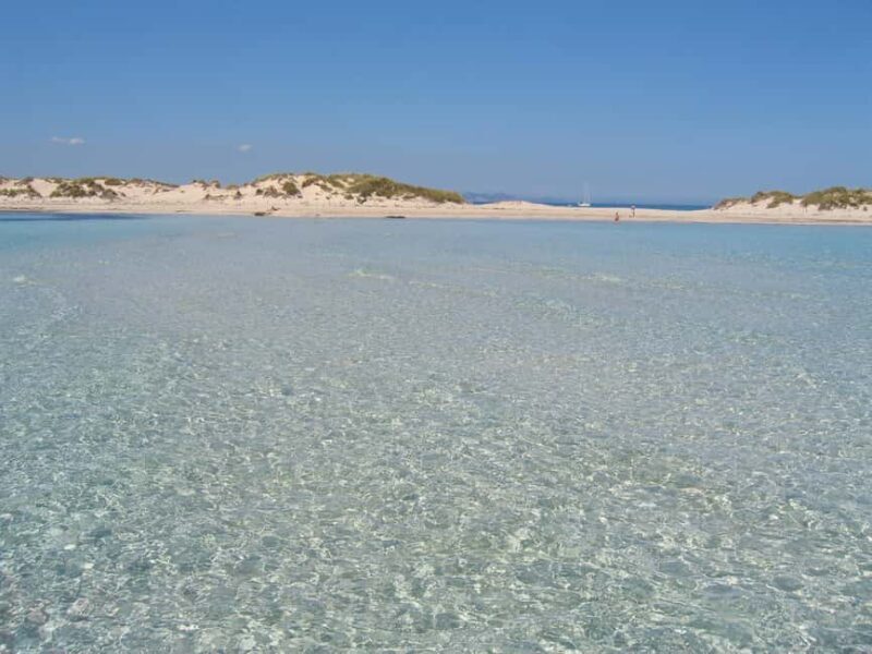 ESPALMADOR SNORKELING TOUR DE 15:45 HASTA LAS 19:30 - Key Points