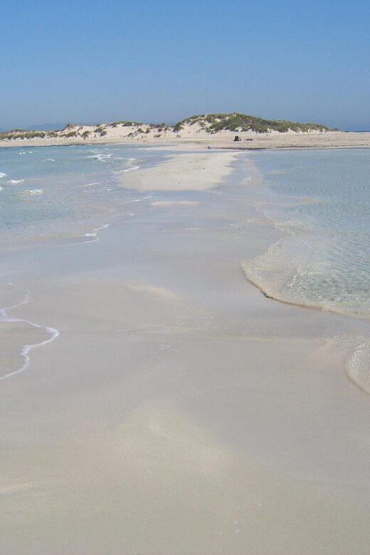 ESPALMADOR SNORKELING TOUR DE 15:45 HASTA LAS 19:30 - What’s Included & Practical Tips