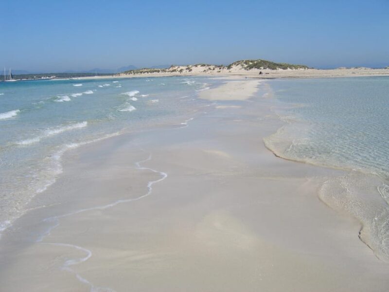 ESPALMADOR SNORKELING TOUR DE 15:45 HASTA LAS 19:30 - Authentic Reviews and Insights