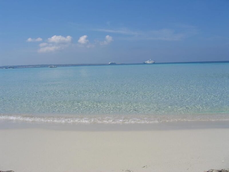 ESPALMADOR SNORKELING TOUR DE 15:45 HASTA LAS 19:30 - Final Thoughts: Who Will Love This Tour?