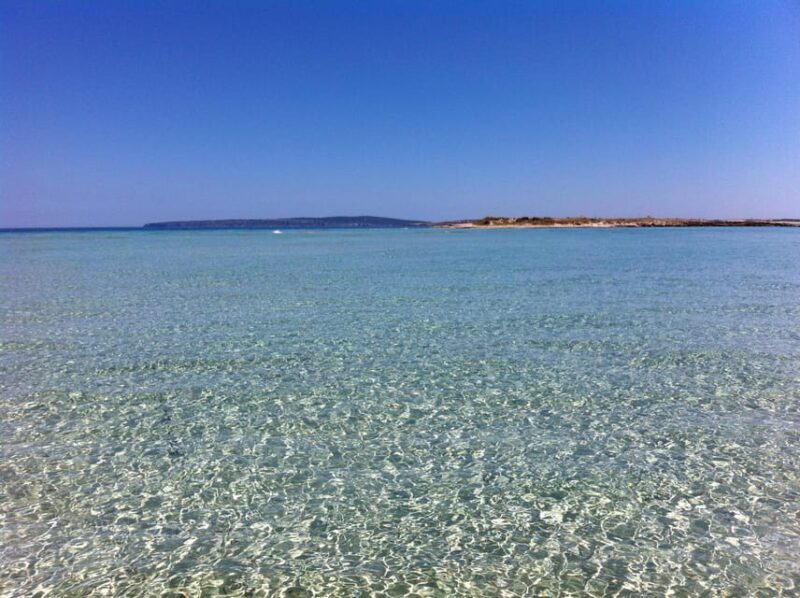 ESPALMADOR SNORKELING TOUR DE 15:45 HASTA LAS 19:30 - FAQs