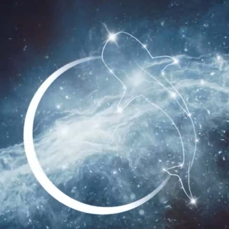 Esperance: Astronomy Night Experience - The Experience in Detail: What You Can Expect