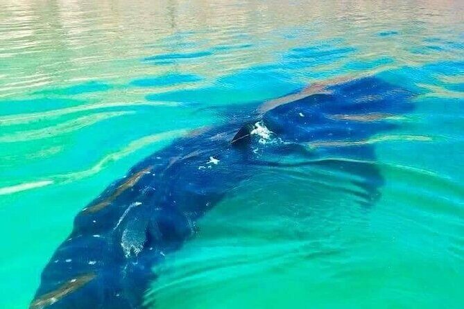 Espiritu Santo Island Day Tour - Final Words