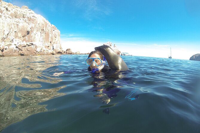 Espiritu Santo Island, Sea Lions & Paddleboard 1 to 10 Private Group Adventure - Duration & Group Size