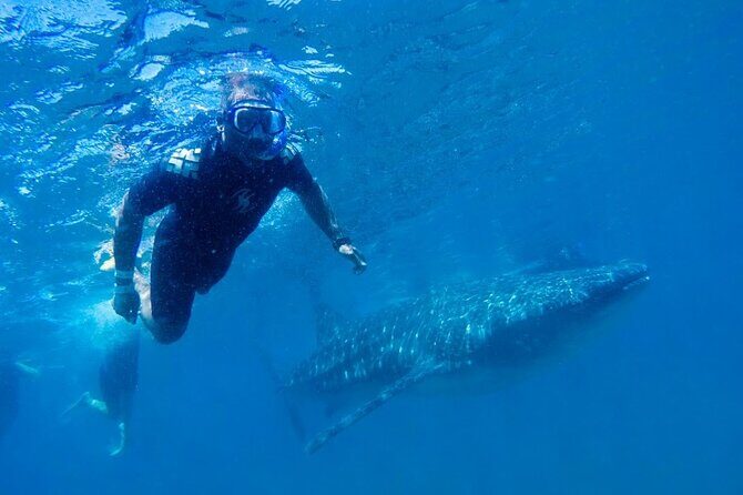 Espíritu Santo Island: snorkel SEA LIONS and Balandra Small Group - The Sum Up: Is This Tour Worth It?